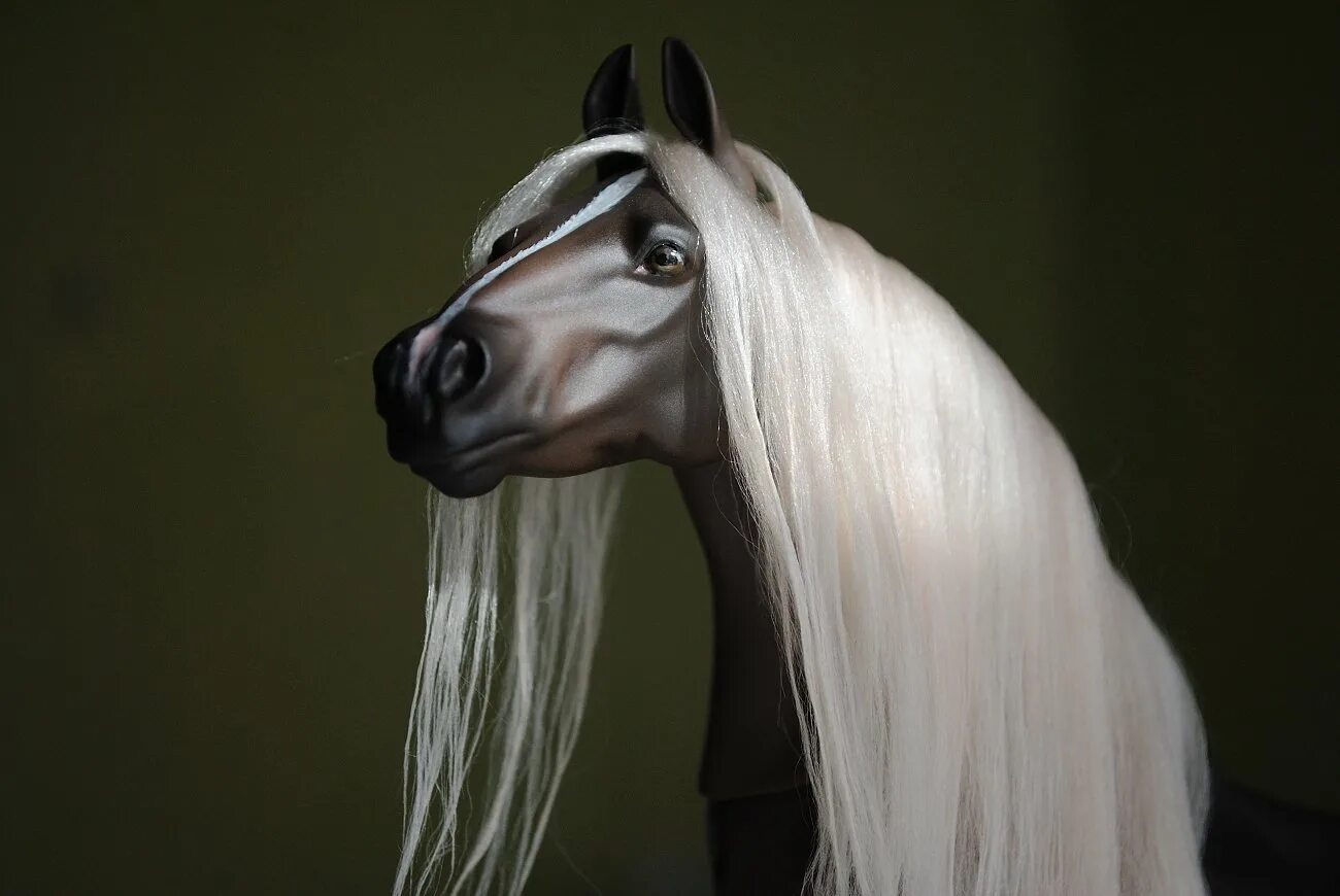 Грива лошади на ветру. Гр ва. Вибке хаас лошади. Красивые морды лошадей. Гр ва.