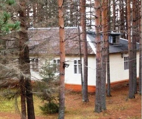 Лесная сказка великий устюг. Турбаза лесная сказка великий устюг. Лесная сказка великий устюг. Гостиница лесная сказка великий устюг. Великий устюг турбаза.