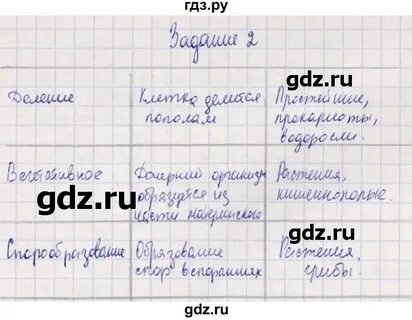 История стр 95 5 класс