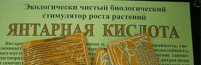 Полив орхидей янтарной кислотой в таблетках. Янтарная кислота для орхидей. Как поливать орхидею янтарной кислотой в таблетках. Полив орхидеи янтарной кислотой пропорции. Орхидея и Янтарная кислота как применять в домашних условиях.