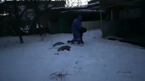 Сон маньяк