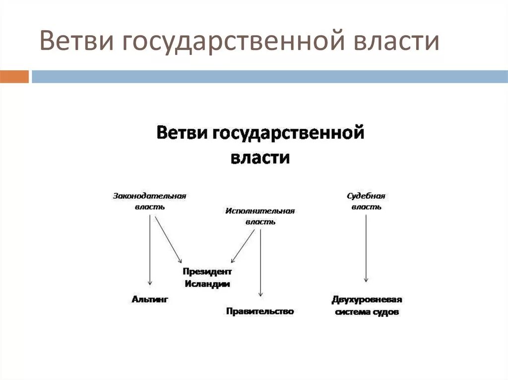 Ветви государственной власти. Ветви власти государства. Ветки гос власти. Ветви власти ДНР.