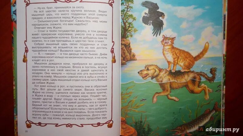 Содержание сказки волшебное кольцо. Содержание сказки волшебное кольцо