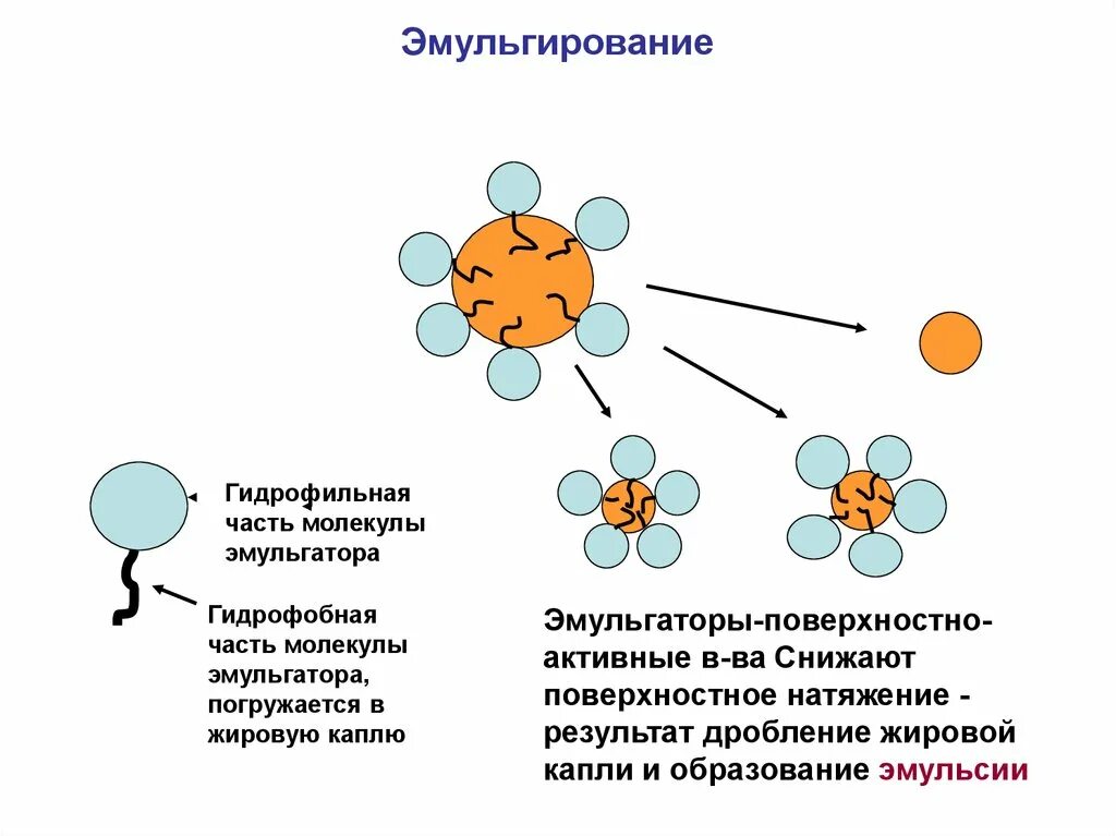 Эмульсия образуется. Механизм эмульгирования липидов. Эмульгирование жиров схема. Желчные кислоты эмульгируют жиры. Эмульгирование липидов схема.