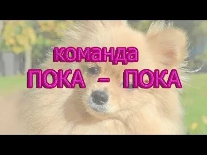 Команда пока