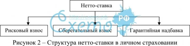 Нетто должник это. Структура нетто-ставки. нетто ставка схема. структура еетто ставки в лмчном сирахлвании. структура нетто ставки в личном страховании.