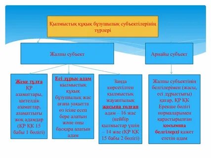 Жеткіншектің жеті жарғысы жобасы