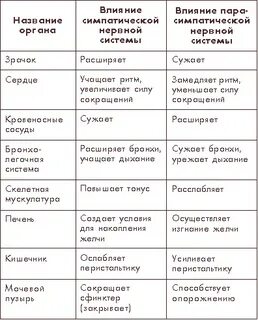 Таблица нервная функция