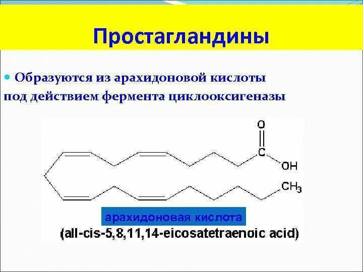 Арахидоновая кислота простагландины. Простагландины из арахидоновой кислоты. Простагландины классификация. Простагландины образуются из арахидоновой кислоты. Простогландин