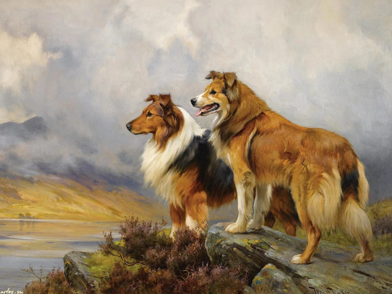 Painted dogs. Райт Баркер картины. Художник Райт Баркер. Wright Barker (1864–1941). Собака колли картина.