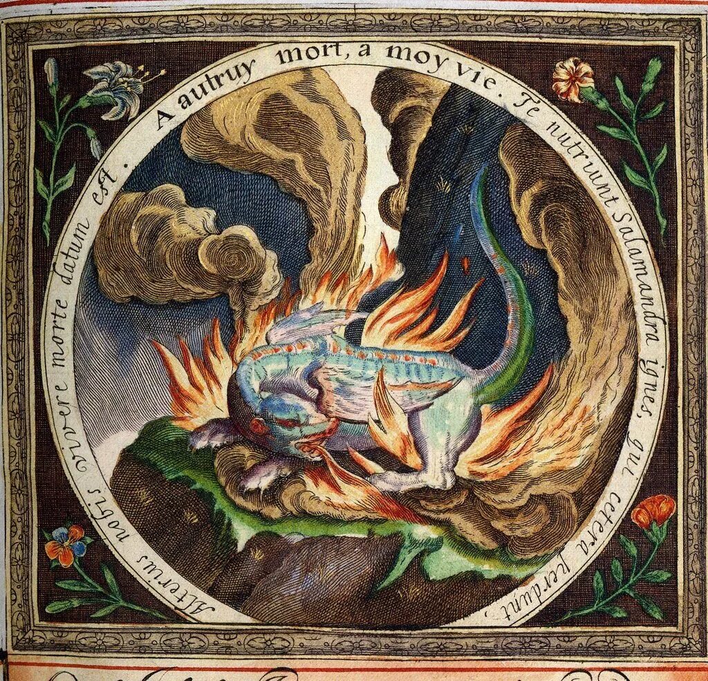 Таро саламандра. Таро саламандра. Саламандра в таро. Туз скипетров таро. Туз жезлов таро уэйта.