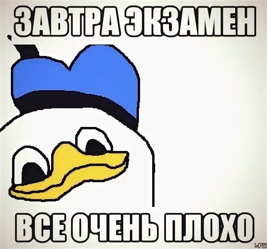 в школе будут обливаться плохо,все очень плохо, Мем Утка - Рисовач .Ру