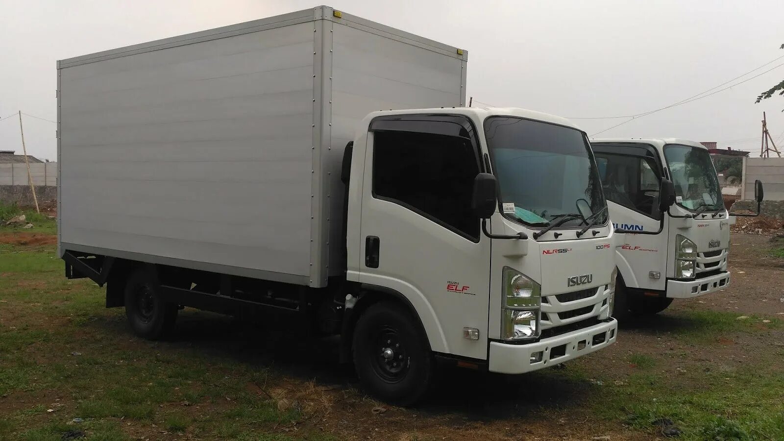 Исузу 5 тонник. Isuzu 10 тонник рефрижератор. Isuzu грузовик 10т бортовой. Isuzu nqr75. Isuzu nqr 12t рефрижератор.