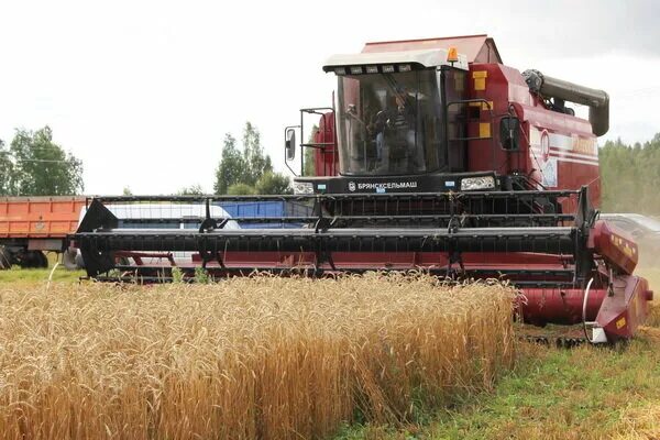 спк центральный шуйский район ивановской области. колганов спк цбт. спк киров логотип. спк центральный шуйский район вакансии. спк афанасьевский шуйский район.