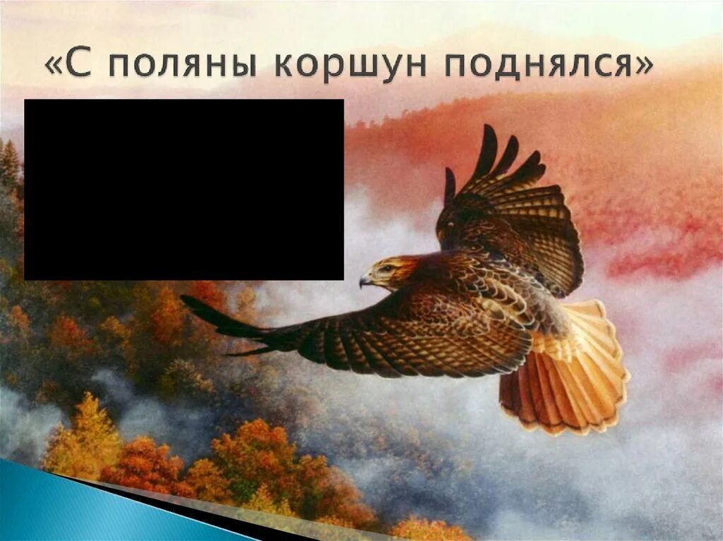 Читать стихотворение с поляны коршун поднялся. С поляны коршун поднялся тютчев. стихотворение федора ивановича тютчева с поляны коршун поднялся. иллюстрация к стихотворению тютчева с поляны коршун поднялся. коршун тютчев.