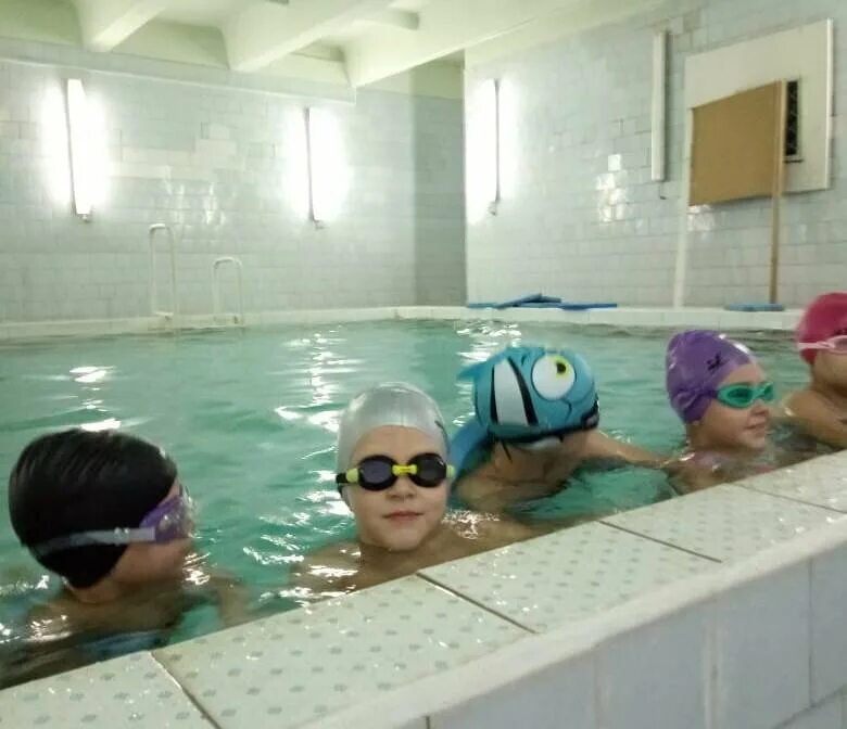 Дельфин воронеж бассейн детский. Бассейн дельфин в самарканде. Абонемент в бассейн. Бассейн дельфин детей. Город губкин бассейн дельфин.