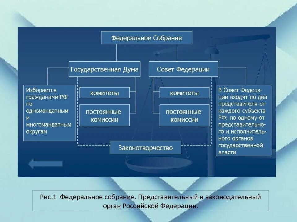 Высший законодательный орган российской федерации. Правовой статус палат федерального собрания РФ. Парламент России Федерации структура. Структура федерального собрания РФ. Полномочия федерального собрания схема.