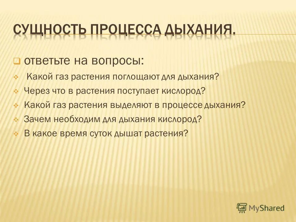 Физиологическая сущность дыхания. Биологический смысл дыхания. Значение процесса дыхания для животных. Значение системы органов дыхания. Биологическое значение дыхания.