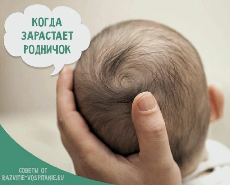 Родничок у детей когда закрывается норма