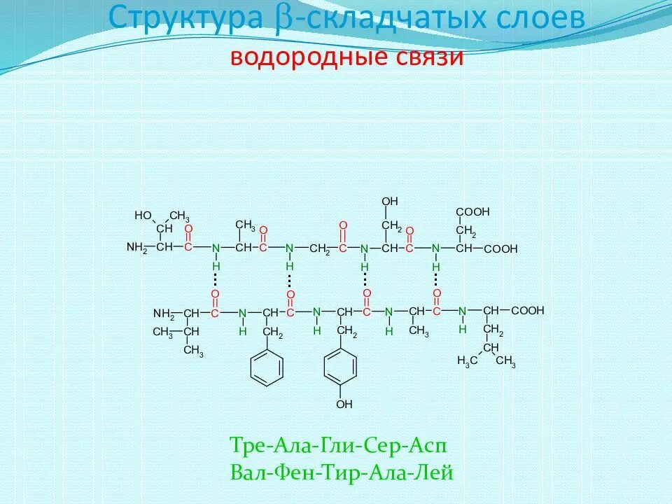 Формула трипептида сер-ала-цис. Трипептид гли сер тир. Глу ала цис. Трипептид вал-фен-лей. Глу ала цис.