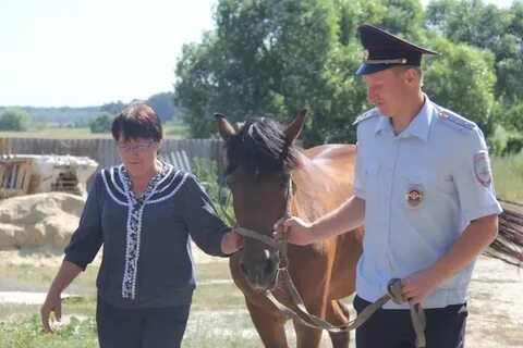 Новости курская область беловский