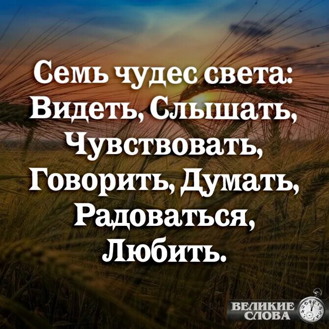 Чуять слышать. Семь чудес света видеть слышать. Семь чудес света видеть слышать чувствовать говорить. Семь чудес видеть слышать.... 7 Чудес света чувствовать ,видеть.