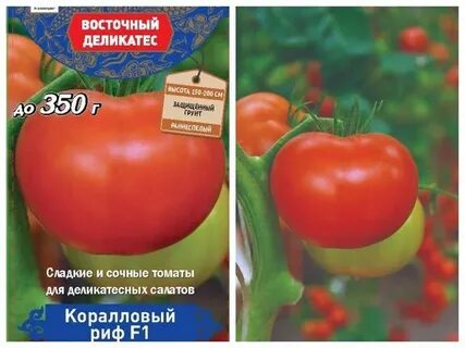 Томат коралловый отзывы