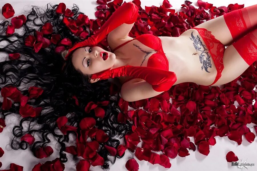 Мир ахименесов сорта. Песня красная красный алых. Песня красная красный алых. Фотосессия в красном платье. Красивые стихи о цветах розах.