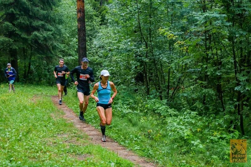 Пермь трейл. Пермь трейл. Территория бега. История липовой горы в перми фото. Экологическая тропа липовая гора.