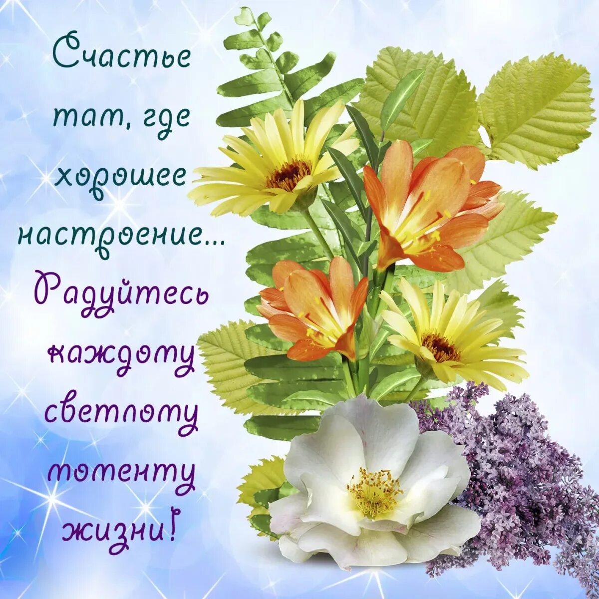 Поздравляю желаю всего наилучшего