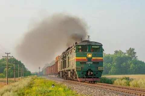 День тэ