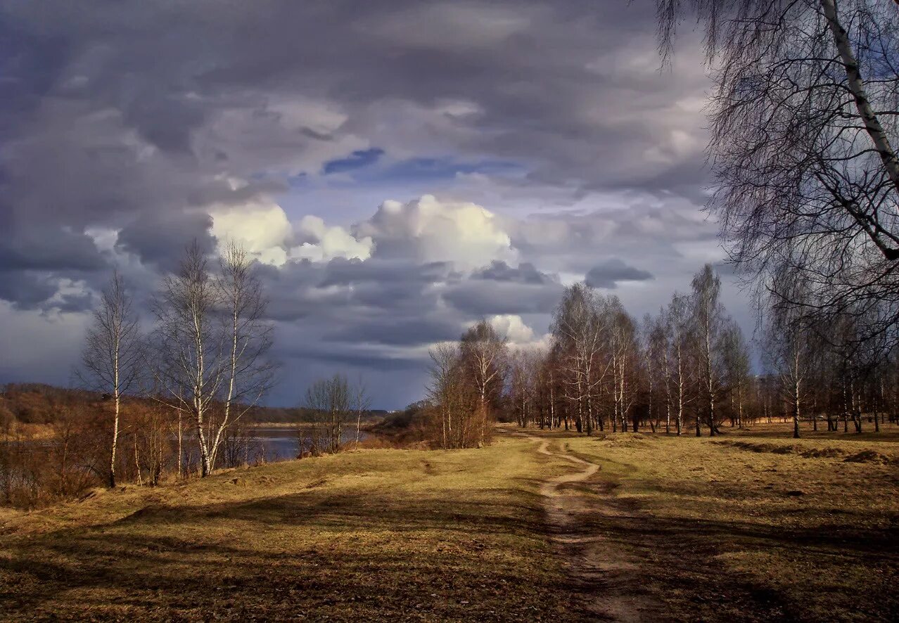 Поздним вечером поздней весной. Пейзаж. Русская природа.