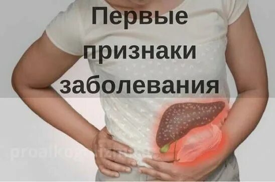 Причины билиарных циррозов печени - найдено 70 картинок