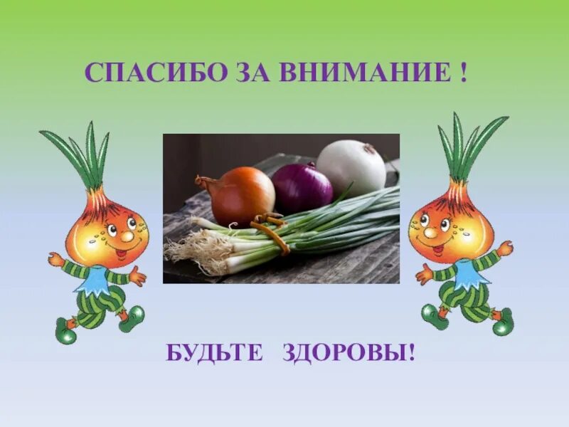 Лук для презентации. Презентация о луке. Презентация про лук для дошкольников. Проект лук от семи недуг 5 класс. Лук для детей.