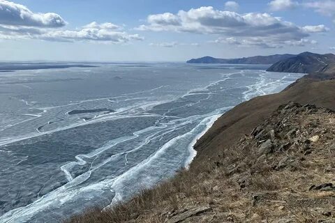 Волга калуга байкал