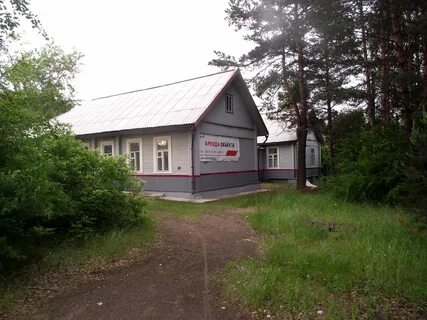 Рп5 хвойная новгородская область на неделю