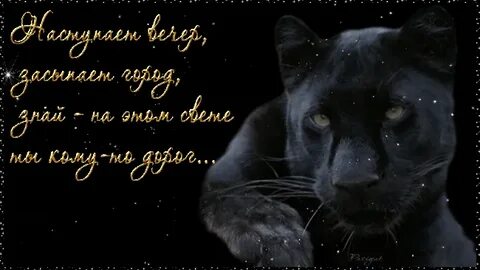 Глаза твои чернее ночи