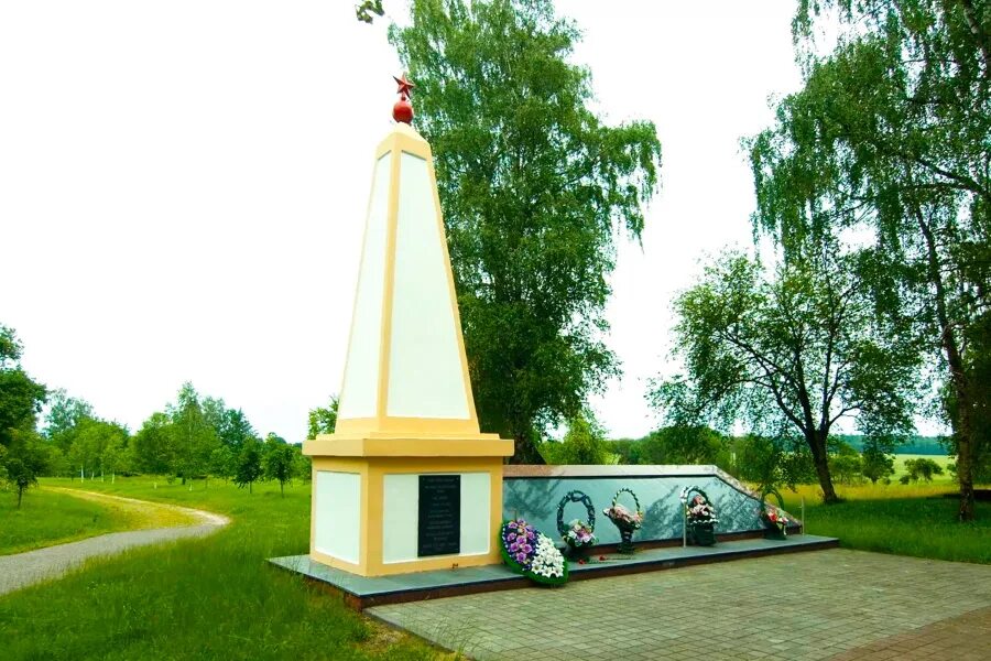 Деревня шауличи фото военных лет