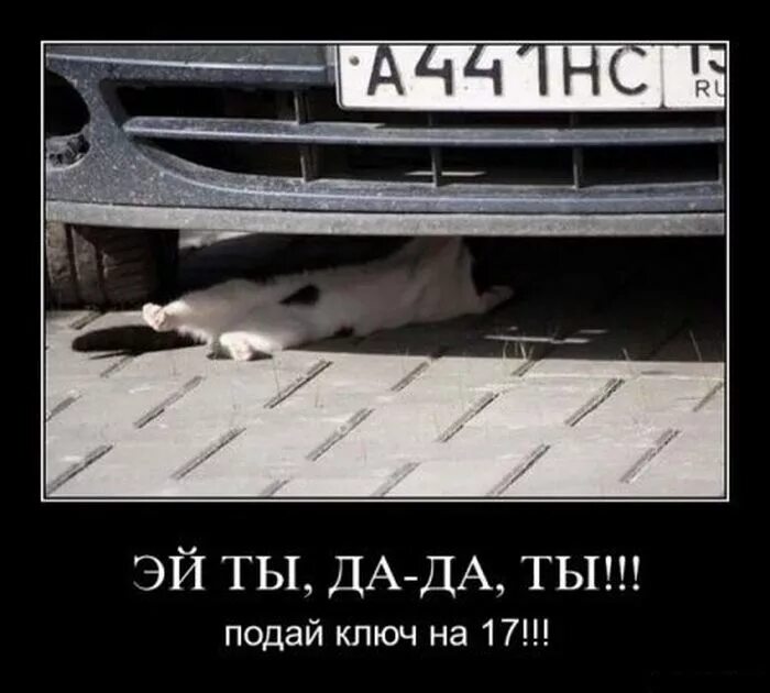 Так и будешь ключи подавать