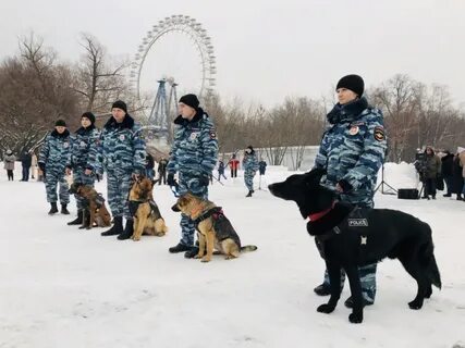 Цкс