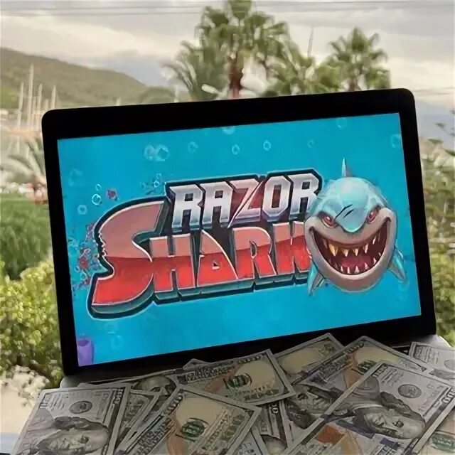 Играли razor shark ванвин. Играли razor shark ванвин