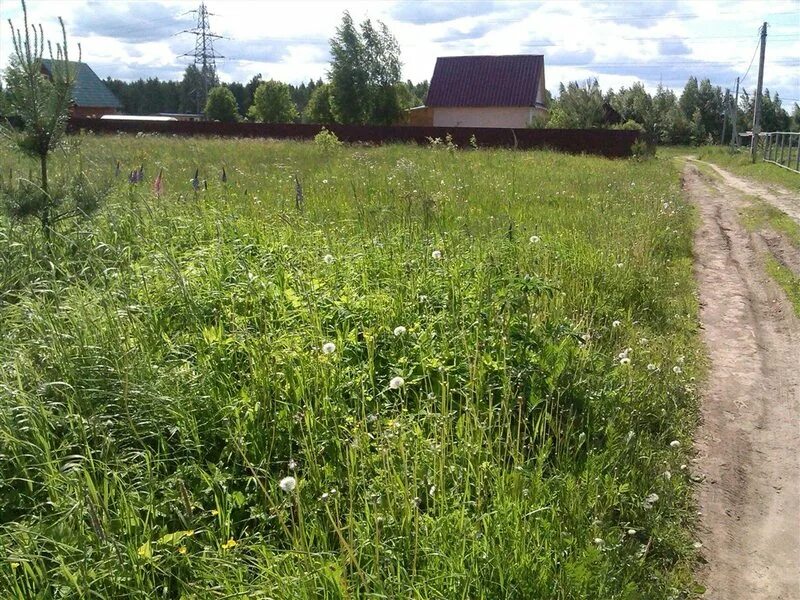 Участки на рыбинском. СНТ Глебово. СНТ 30 Березники. Село Глебово Рыбинский район. СНТ Росток Выборгский район.