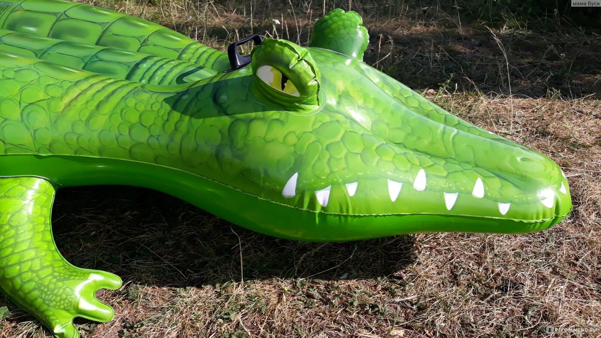 Какой крокодил зеленый. Резиновый крокодил. Зеленый крокодил. Надувной крокодил. Надувной зеленый крокодил.