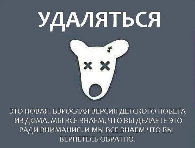 C ai удалят