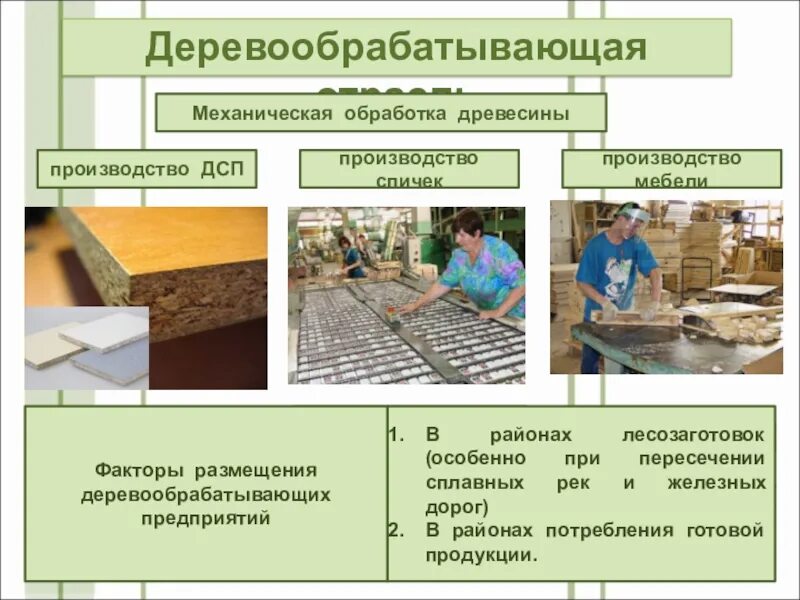 Отрасли деревообработки. Материалы деревообрабатывающей промышленностей. Отрасли деревообрабатывающей промышленности. Факторы производства деревообработки. Производственное производство примеры