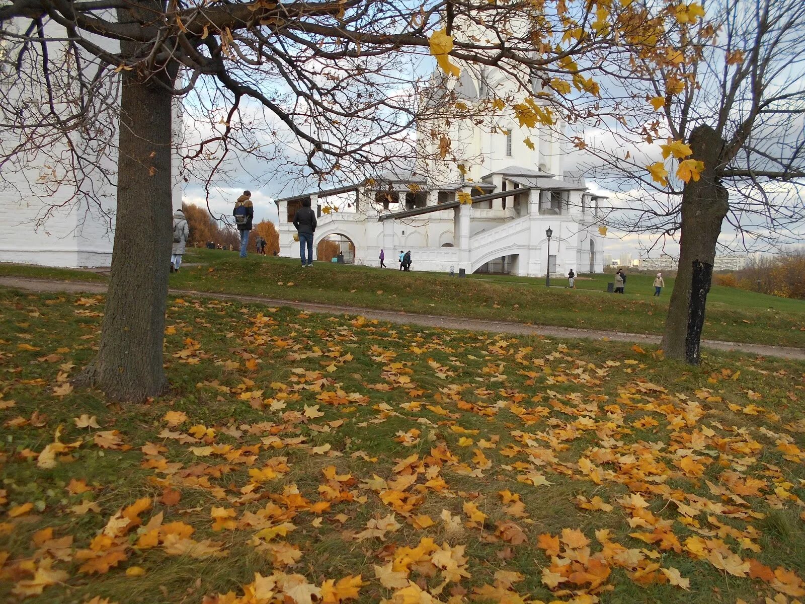 Сегодня в коломенском парке. Парк Коломенское осень. Осень в Коломенском парке. Парк Коломенское в октябре. Коломна осенью.