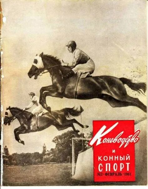 Золотой мустанг журнал. Коневодство и конный спорт журнал архив. Журнал конного спорта. Журнал про конный спорт. Журнал конного спорта.