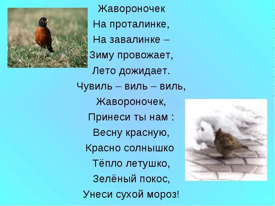 Текст стихотворения жаворонки. Стихи Скребицкого. Чувиль Чувиль жавороночек. Жавороночек на проталинке.