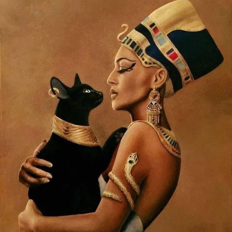 Cat cleopatra