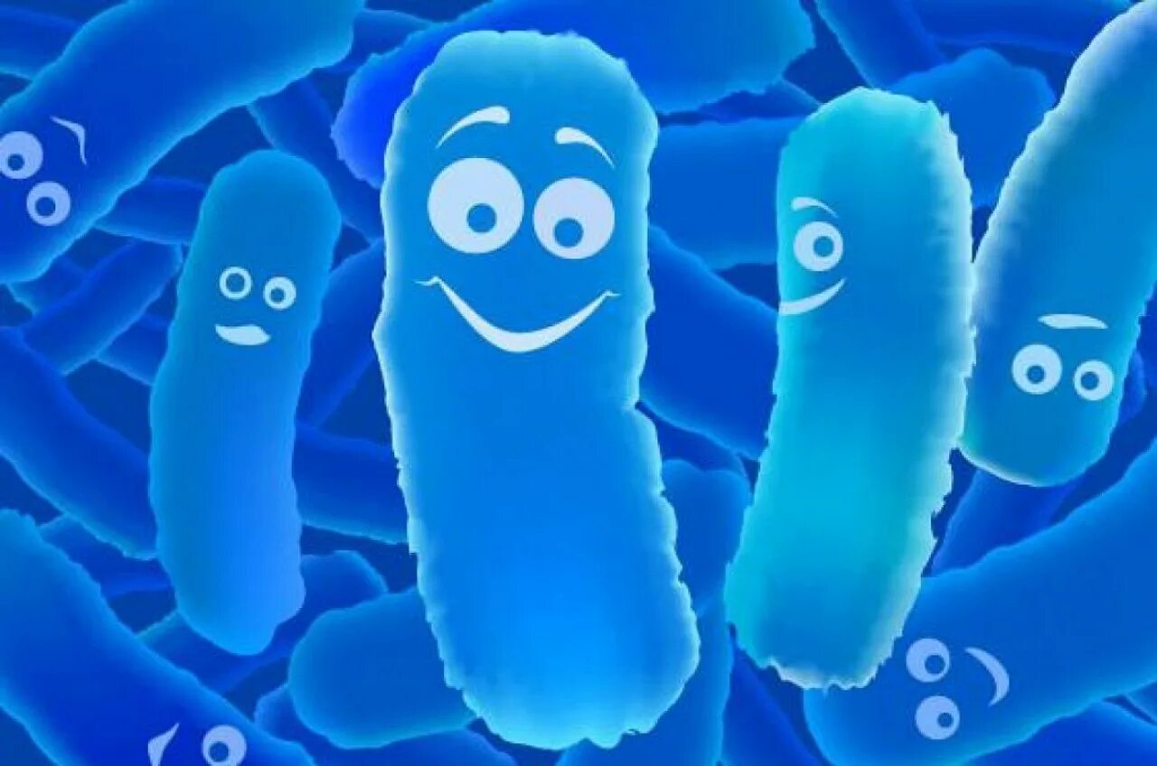 Бифидобактерии человек. Пробиотики лактобактерии и бифидобактерии. Полезные бактерии. Полезные микроорганизмы. Хорошие микробы.